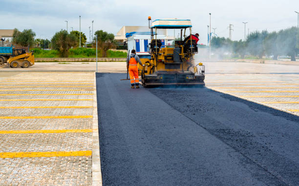 Best Local Driveway Pavers  in Maysville, NC